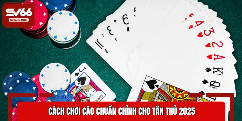 Cách chơi cào chuẩn chỉnh cho tân thủ 2025